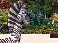 Marty the zebra (Madagascar)