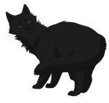 Hollyleaf