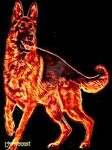 Fire dog