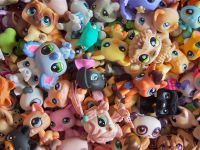 Littlest pet shop