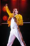 Freddie Mercury (King of Rock)