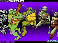 Donatello