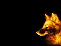 Fire wolf