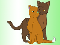 Brambleclaw x Squirrelflight