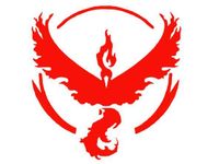 Team Valor