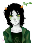 Nepeta