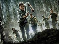 Maze Runner