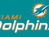 The miami dolphins