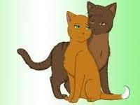 Bramleclaw x Squirrelflight