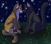 Leafpool x Crowfeather