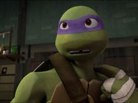 Donatello / Donnie