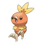 Torchic