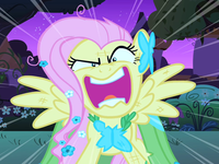 Fluttershy's (The Best Night Ever and Putting your hoof down)