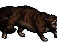 Tigerstar