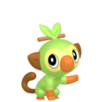 #810 Grookey