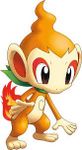 chimchar