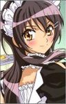 This (Kaichou wa Maid-sama!)