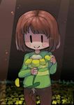 Chara