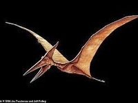 Pterodactyl! Flying is awesome!