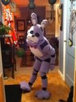 Bonnie the Bunny