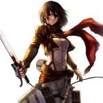 mikasa