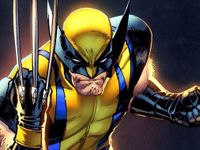 Wolverine