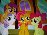 Apple bloom (right)