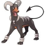 Houndoom #4