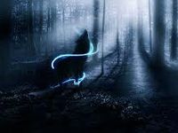 shadow/spirit wolf