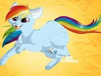 Rainbow dash cat form