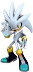 Silver The Hedgehog