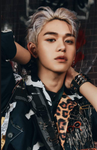 Wong Yukhei (Lucas)