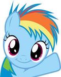 rainbow dash filly