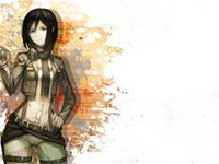 mikasa