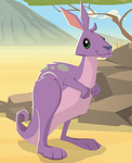 Kangaroo