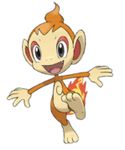 Chimchar