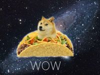 Doge