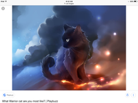 Crowfeather