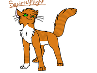 Squirrelflight bruh! She's boss B)