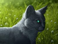 Bluestar