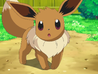 Eevee