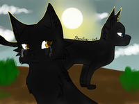 Nightfeather (Nightcloud+Crowfeather)