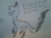 Electpurr