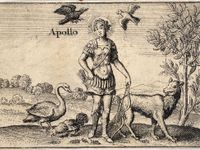 Apollo