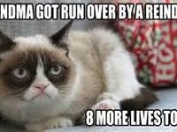 Grumpy Cat