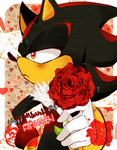 Shadow holding a rose