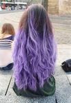 Brown (darker or lighter) with lilac tips