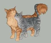 Cinderblaze (Lionblaze+Cinderheart)