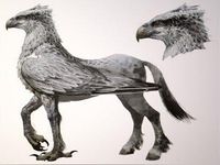 B) be a hippogriff (horse with wings front talons and feathers)