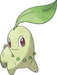 Chikorita